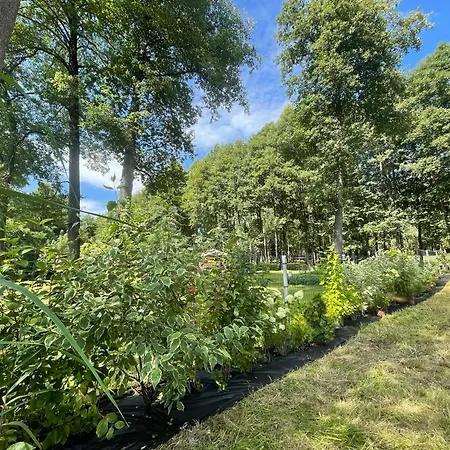 Przystanek Beztroska Wydminy