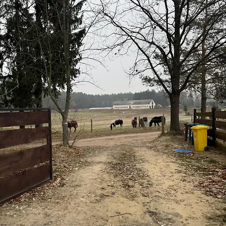 Przystanek Beztroska * Wydminy