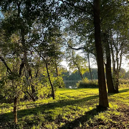 Przystanek Beztroska