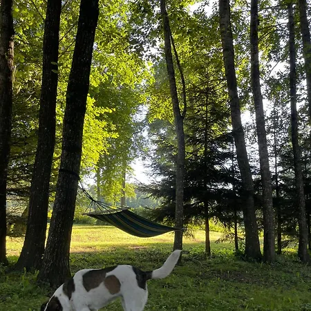 Ferienhaus Przystanek Beztroska Wydminy