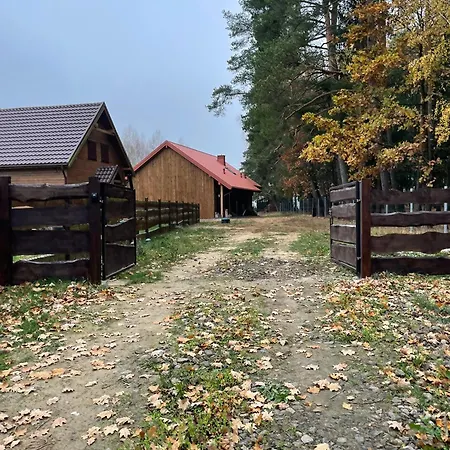 Przystanek Beztroska * Wydminy